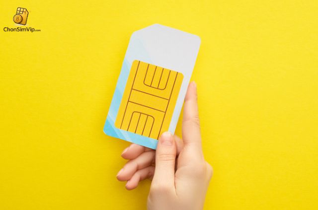 Kinh doanh sim số đẹp là một lĩnh vực hấp dẫn và tiềm năng