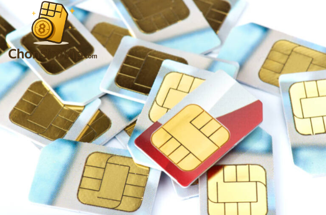 cắt sim micro thành nano