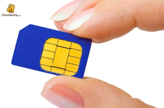 Hướng Dẫn Giải Mã Chi Tiết Các Loại Sim Số Đẹp Phổ Biến