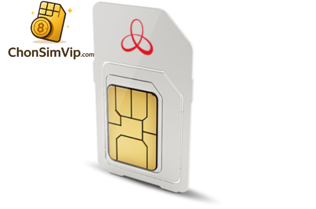 Những Lưu Ý Quan Trọng Khi Mua Phôi Sim