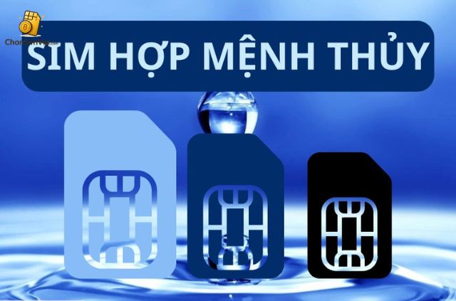 Những người mệnh Thuỷ thường có tinh cách và đặc trưng nổi bật